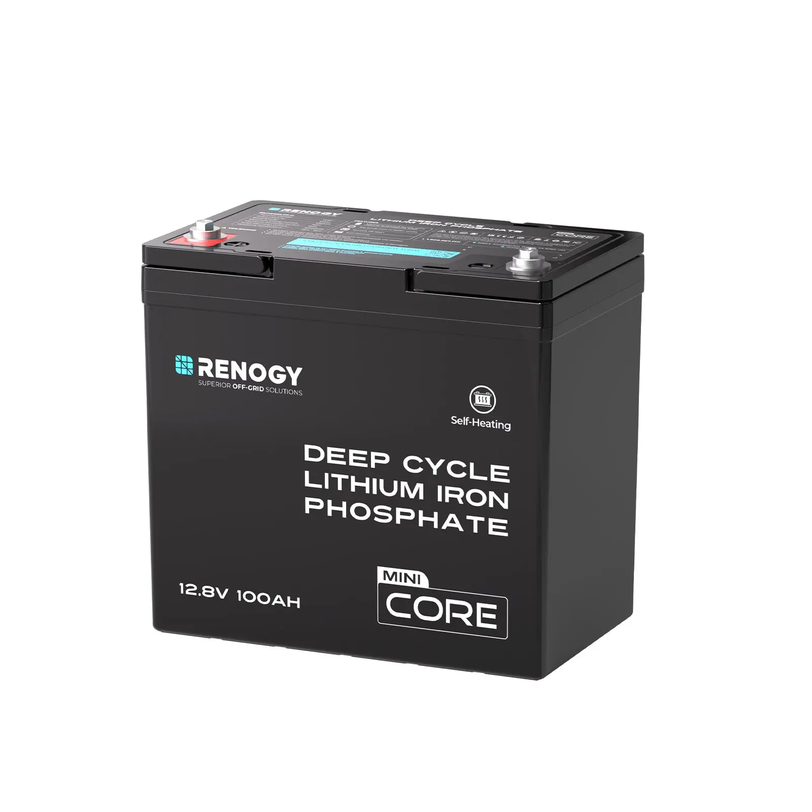12.8V 100Ah Lithium Iron Phosphate Battery - Image 24